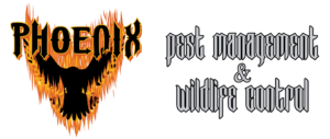 Logo of Phoenix Pest Control and Wildlife Management in Tarpon Springs Florida