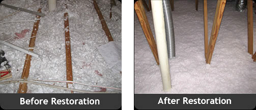 Before and After Attic Sanitation in Tarpon Springs FL