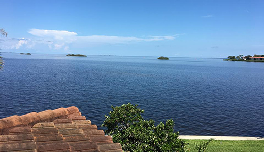 Beautiful View of Pest Control Experts While Working in Hillsborough County