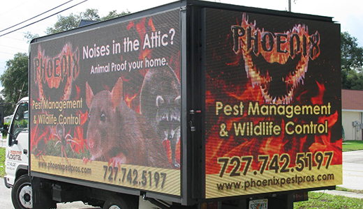 Mice Removal Professionals' Truck Passing by Tarpon Springs FL