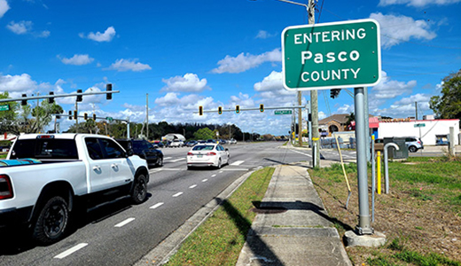 Pest Control Company Approaching Pasco County FL