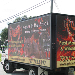 Pest Control Truck Passing By Tarpon Springs FL