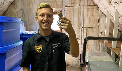 Squirrel Removal Expert Holding Squirrel He Removed From Tarpon Springs Structure