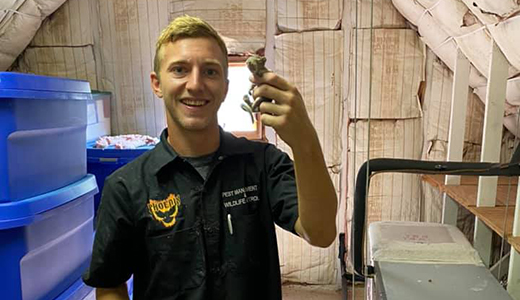 Pest Control Expert Holding Squirrel Caught in a House in Dunedin, Florida