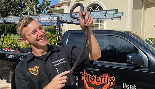Pest Control Expert Holding Snake He Removed from Palm Harbor House