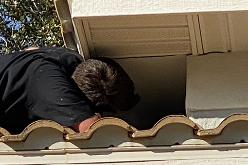 Image of Man Working to Remove Birds From Home in Tarpon Springs