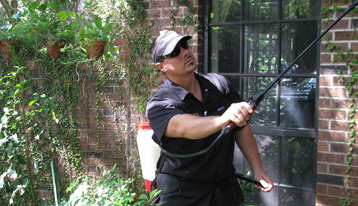 Pest Control Expert Exterminating Pests in a Seminole Household