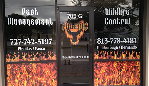 Office Door with Contact Info of Best Pest Control Company in Hillsborough County FL