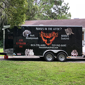 Truck of Tarpon Springs-based Pest Control Company Offering Attic Restoration Services