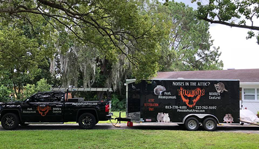 Company Vehicles of a Pest Control Business Parked In Front of a House in Land O Lakes Florida
