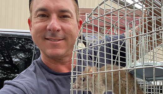 Dunedin Rodent Removal Expert Holding Cage with Caught Mouse