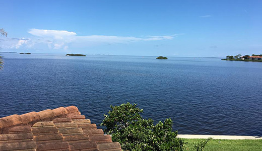 View from a House in Holiday Florida That Received Mosquito Control Services