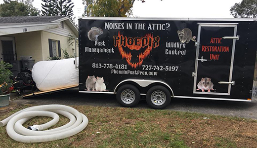 Truck of Widlife Removal Company Parked Outside Customer's House in Holiday FL