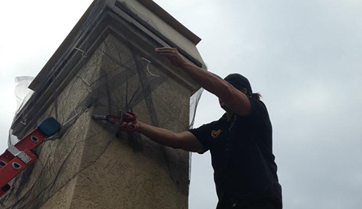 Bat Removal Professional Setting Up Trap on the Roof of Holiday Property