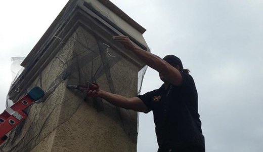 Mice Removal Professional Setting Up Trap on the Roof of a Holiday House