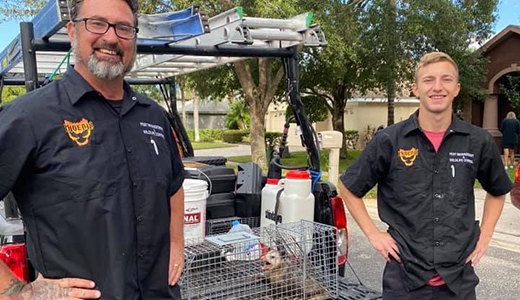 Employees of Opossum Removal Company Standing Proud After Catching Opossum from a Property in Holiday FL