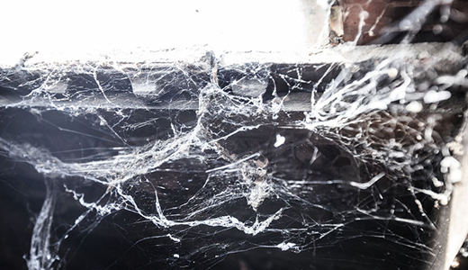 Webs in an Old Holiday House That Needs Spider Control Services