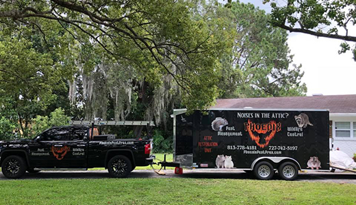 Vehicles of the Best Hornet Removal Company Servicing New Port Richey and Other Florida Cities