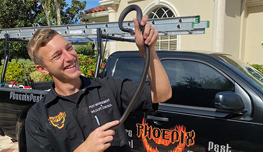 Pest Control Expert Holding Snake He Caught From Brooksville Property