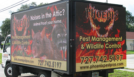 Truck with Contact Info of Top Pest Control Company Servicing Brooksville FL