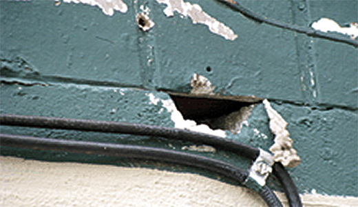 Rat Hole on a House in Wesley Chapel FL In Need of Pest Control Services