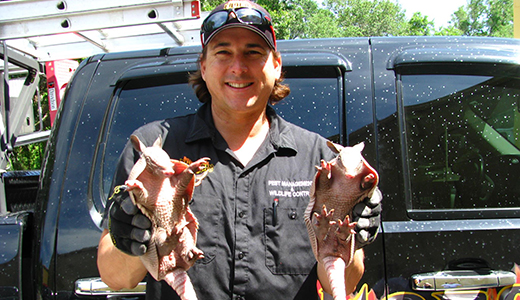 Spring Hill Pest Control Expert Holding One Armadillo in Each Hand