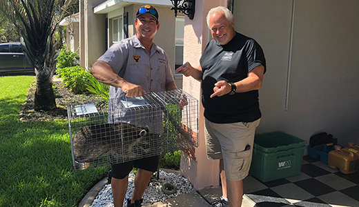 Bradenton Man Pointing to Armadillo Caught by Pest Control Expert Servicing His Property