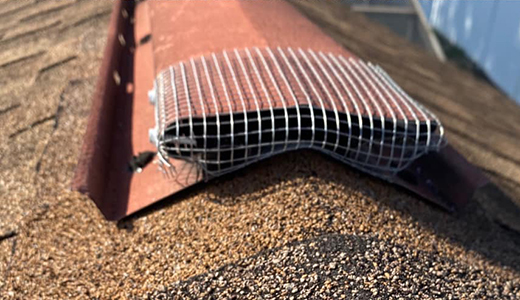 Mesh Screen Installed by Rodent Removal Expert on the Roof of an Inverness Home
